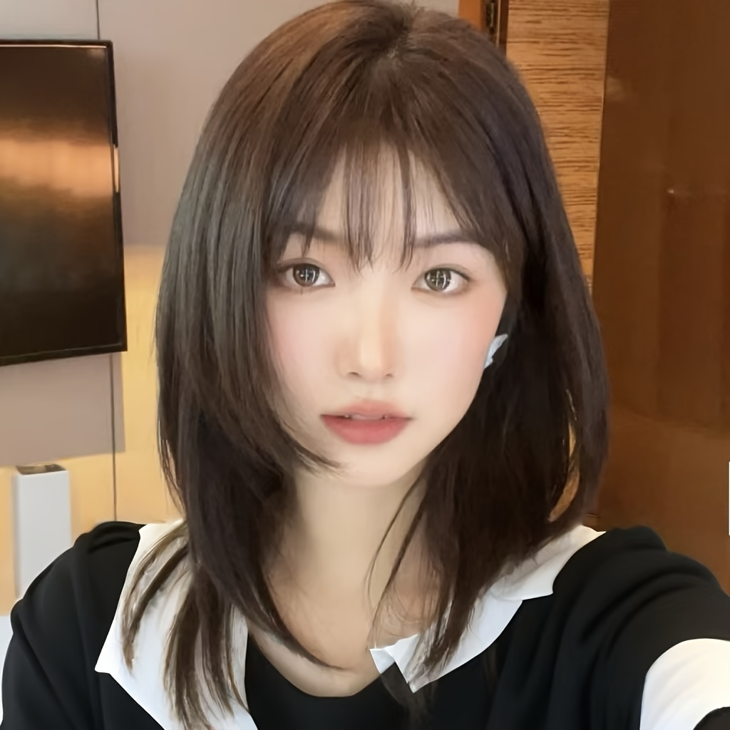 Rambut Wanita Hitam-Cokelat Pa - Wig Fiber Net ulasan dan harga